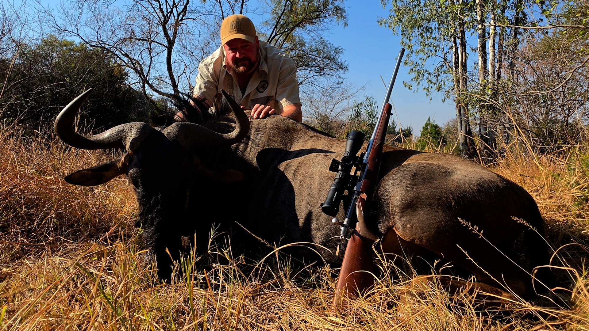 wildebeest-hunt.jpg