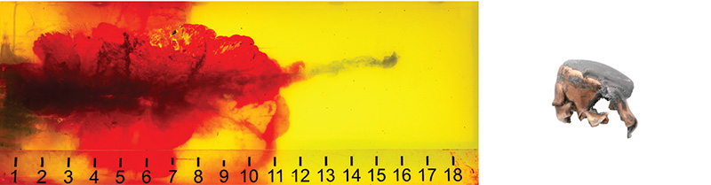 Auto Glass gel image