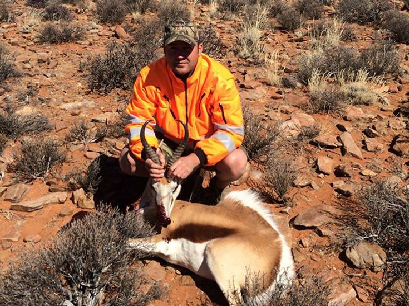 Springbok Getting Shot SPRINGBOK - Hornady Manufacturing, Inc