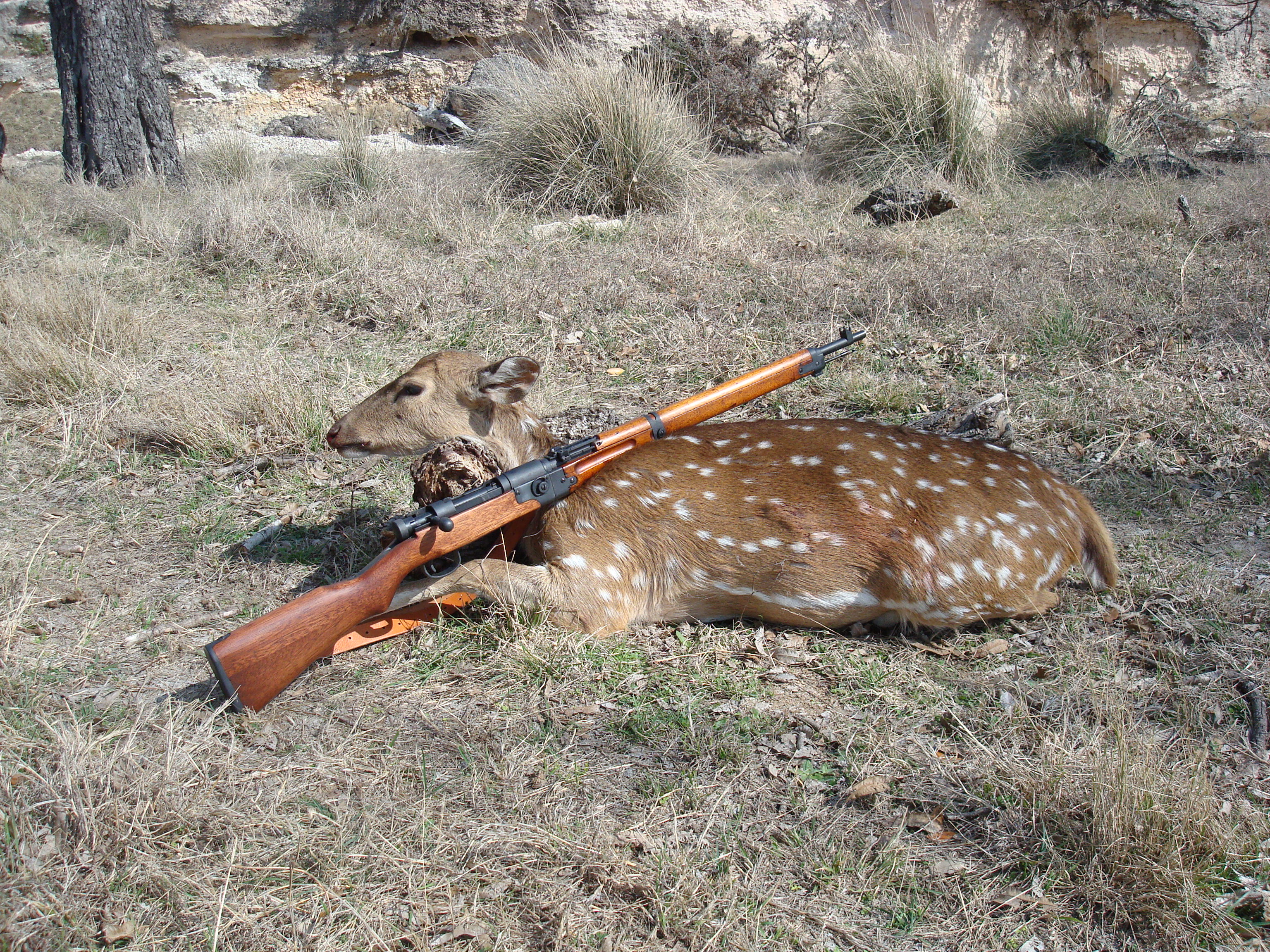 7.7X58mm Arisaka Axis harvest ‑ Hornady Manufacturing, Inc