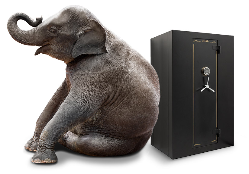 Photo of Safes with Elephant